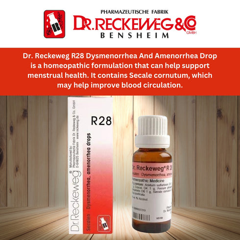 Dr. Reckeweg R27 Renal Calculi Drop